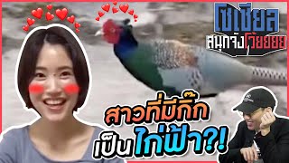 สาวที่มีกิ๊กเป็นไก่ฟ้า?! : โซเชียลสนุกจังโว้ย l VRZO