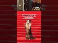 Messi, the dog from the film “Anatomy of a Fall,”walks the red carpet at the Cannes Film Festival.