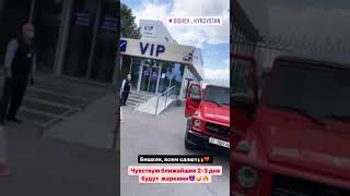 Даша, Гусейн, Динат, Диана они в Кыргызстане