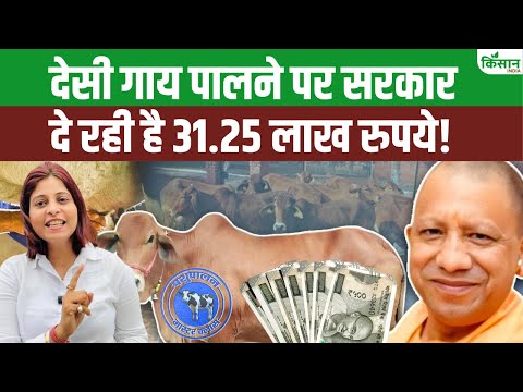 गाय पालने पर मिलेगी लाखों की मदद | Dairy Business Yojana 2025। Nandini Krishak Samriddhi Yojana