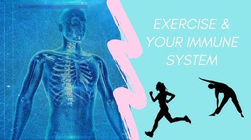 How Exercise Affects Your Immune System