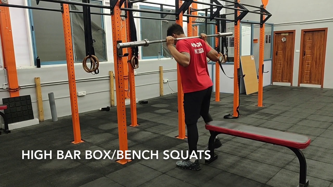 High Bar Box/Bench Squats YouTube