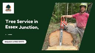 Local Tree Service in Essex Junction, VT | Iconic Tree Care