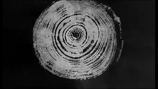 BAUM Stempel - tree ring print