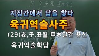 육귀역술사주       사주강의        (29)亥子丑월 甲木일간 용신