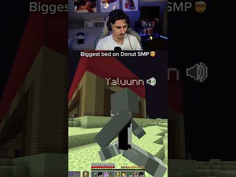 Biggest Bed on Donut SMP