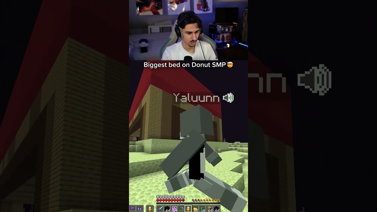 Biggest Bed on Donut SMP