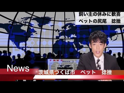 【放送事故】尻尾にツボる壺浅壺男