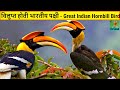 धनेश पक्षी के बारे में रोचक जानकारी | Indian Birds | Hornbill Bird Nest | Great Indian Hornbill पंछी