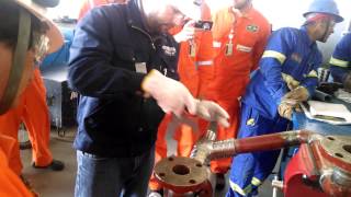 Pyplok VID 20140429 101444555
