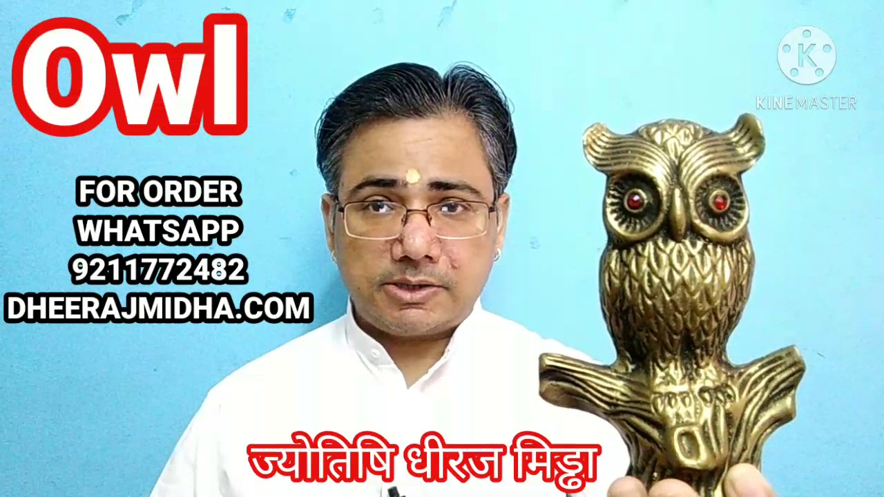 feng shui owl feng shui owl benefits feng shui owl symbol feng