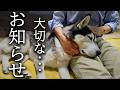 今まで応援してくださった皆様へ大切なお知らせ