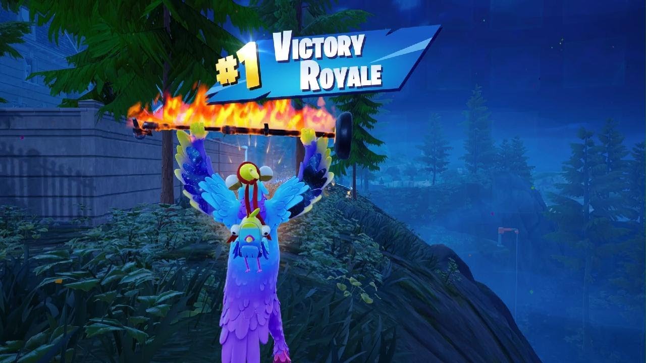 *NEW* BUDGE SKIN IN FORTNITE PS5 + A VICTORY ROYALE WIN! (SOLO) YouTube