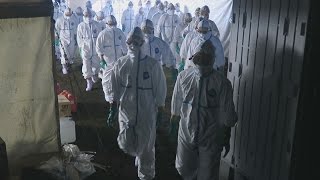 宮崎県で１２万羽殺処分開始 鳥インフル検出の養鶏場
