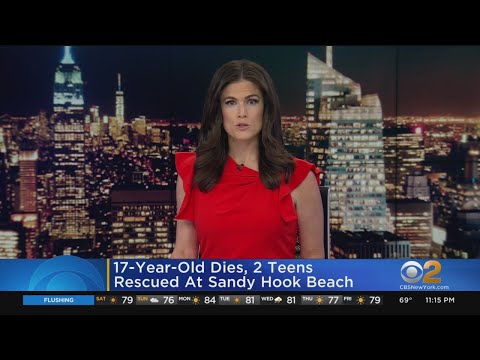 17-Year-Old Dies, 2