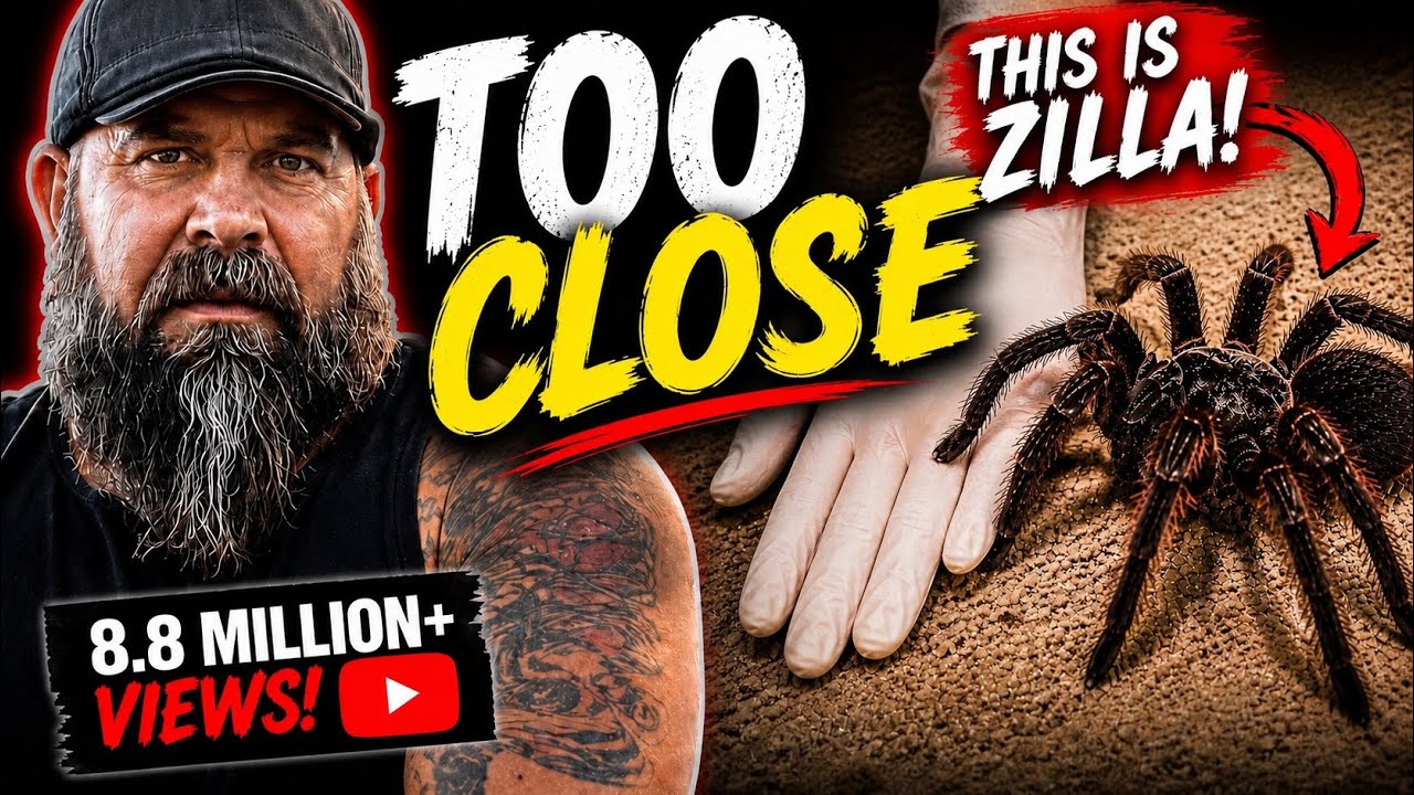 My Wife Got WAY Too Close to Zilla… 😳