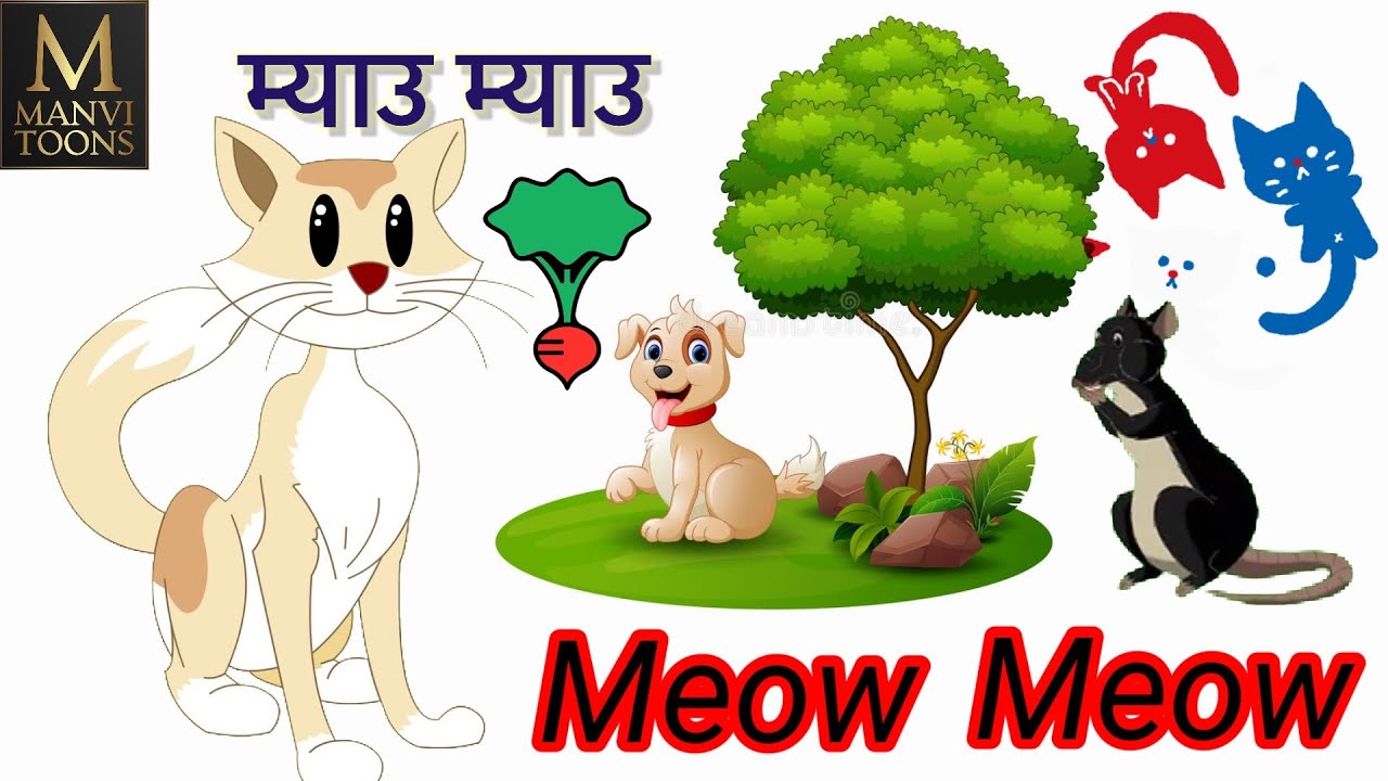 Meow Meow Billi Karti Hindi Rhyme For Kids poem in Hindi Hindi