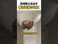 突如膨らむ家の天井クロス