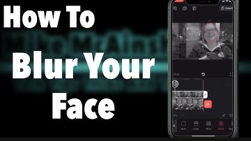 How To Blur Faces In Video| Videoleap Tutorial