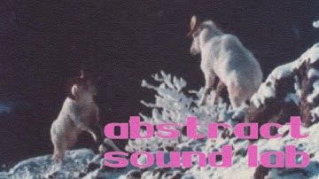 Pittsburgh Modular Abstract Sound Lab