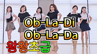 Ob-La-Di Ob-La-Da 인생은계속되고| 왕초급버전  Line Dance |Oldpopsong |올드팝송 라인댄스