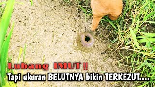 SURPRISING‼️THE HOLES ARE SMALL BUT THE CONTENTS ARE UNEXPECTED