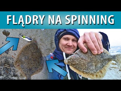 SPINNING MORSKI ➤ Flądry, płastugi, płaskie, gładzice, turboty - na spinning...