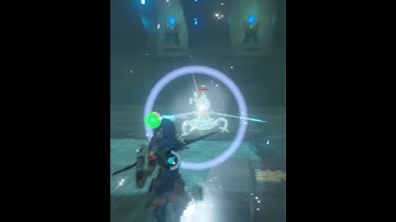 Double SBR TCR #botw