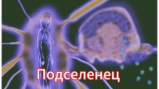 видео: Обнаружили подселенца! Что делать? картинка: Обнаружили подселенца! Что делать?