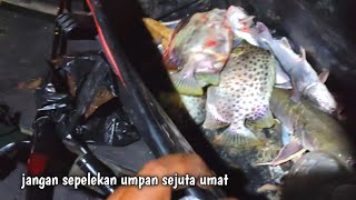 Insane catch‼️ saltwater fishing using earthworms as bait