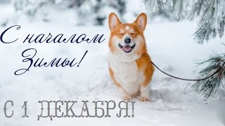 ❄️С Первым Днём Зимы❄️ Музыкальная Открытка