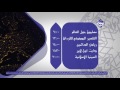 Watch To Day Watch To Day