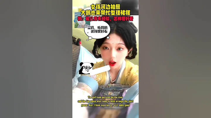 女孩河边拍照，大鹅也来帮忙整理裙摆，鹅：妮儿我有经验，这样摆好看 - 天天要闻