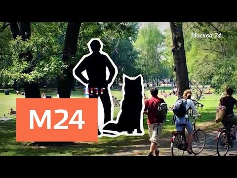 "Москва с акцентом": Крис Хелмбрехт - Москва 24