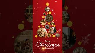 Free Christmas Tree Photo Collage Instagrm Story Template (Customizable) - FlexClip