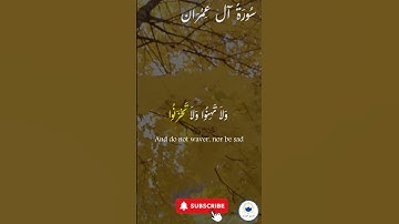 اكتب شيء تؤجر عليه 🤍 🤲🏻 #quran #اسلام #قرآن #راحة_نفسية #سورة_آل_عمران