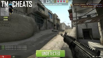 TMCheats.com First Ever CS:GO Cheat in the WORLD Undetected ! HD