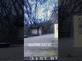 WILDKAMERA IM GARTEN. KATZE EARTET BESTIMMT, DAS EINER KOMMT. 🤔👍