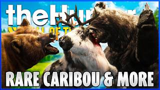 I Found an INSANE RARE while hunting bears in Alaska! | theHunter Call of the Wild