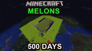 I Farmed Melons for 500 Days