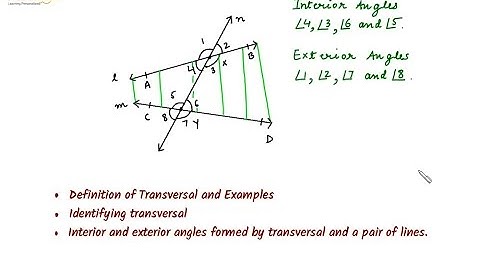 Parallel Lines and Transversal - Understand the concept Part 1
