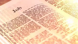 The Holy Bible - Job Chapter 21 ESV