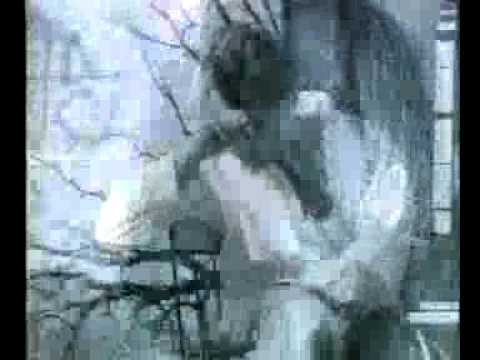 masoud fardmanesh daram az to minevisam masoud fardmanesh daram az to minevisam