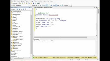 Primary Key Constraint