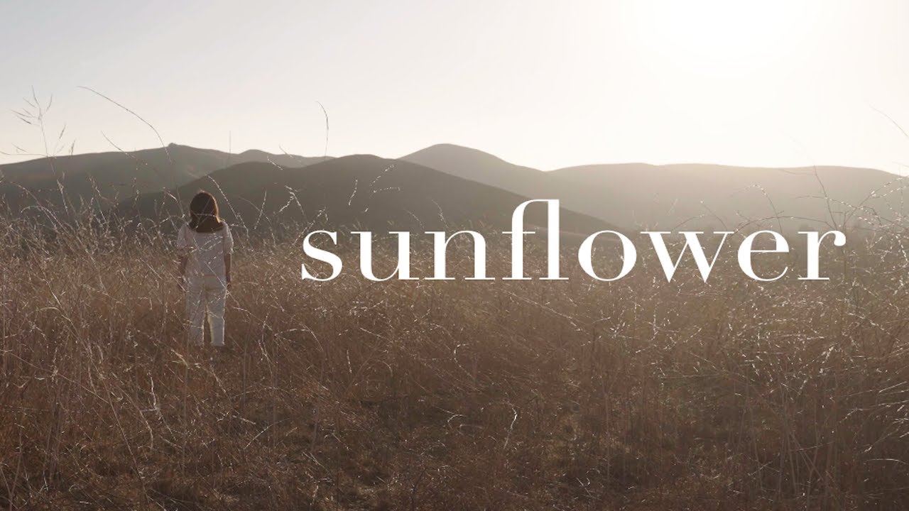 Sunflower Pauline Zoe Park // choreography YouTube