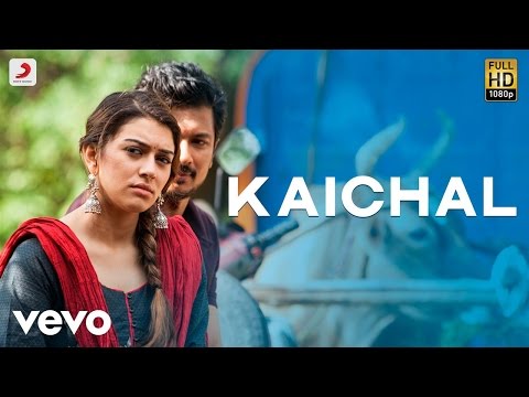 Manithan - Kaichal Video | Udhayanidhi | Santhosh Narayanan