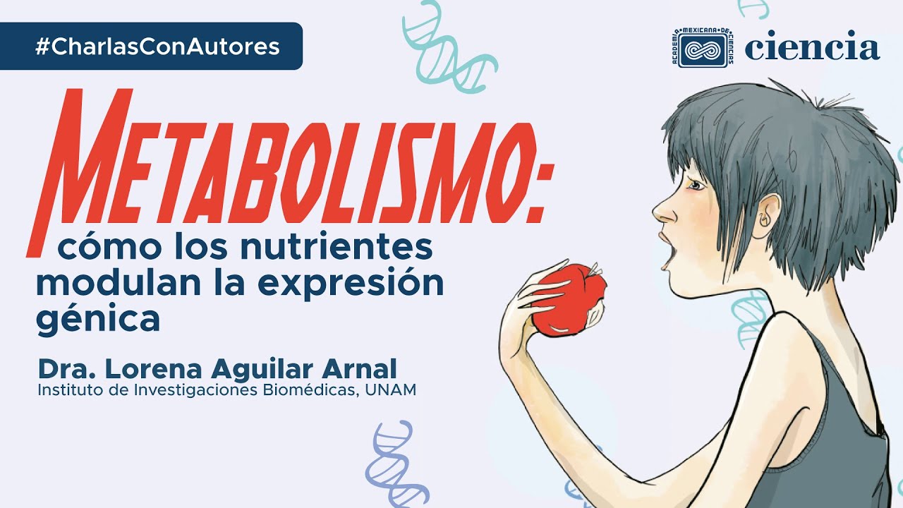Metabolismo: cómo los nutrientes modulan la expresión génica