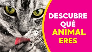 🌟DESCUBRE Qué ANIMAL ERES Según tu PERSONALIDAD Test divertidos de Personalidad 🌟Fabulosos Test 2021 screenshot 2