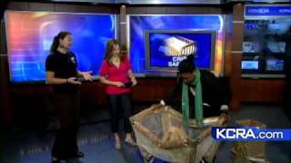 5 Steps To Make Your Baby's Crib Safe
