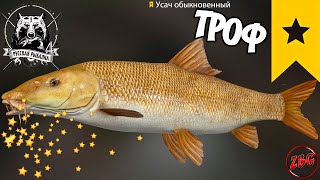 УСАЧ ОБЫКНОВЕННЫЙ  ТРОФ о. МЕДВЕЖЬЕ ⭐ РУССКАЯ РЫБАЛКА 4 | RUSSIAN FISHING 4🐟